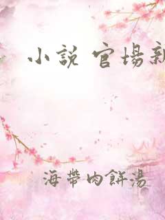 小说 官场新贵