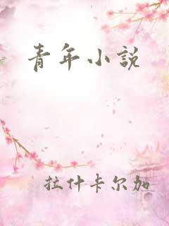 青年小说