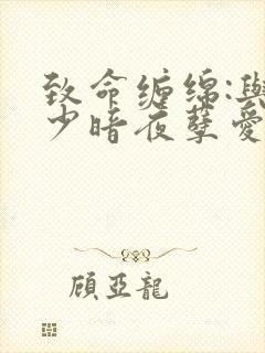 致命缠绵:与冷少暗夜孽爱