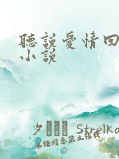 听说爱情回来过小说