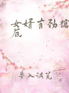 女婿有劲枪枪到底