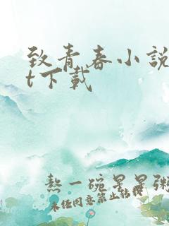 致青春小说txt下载