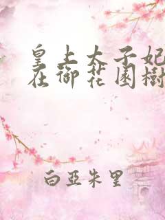 皇上太子妃沈音在御花园树上