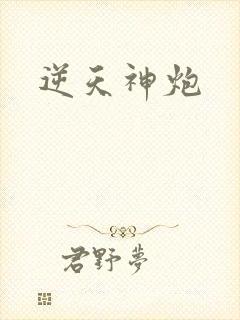 逆天神炮