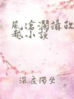 风沧澜摄政王穿越小说