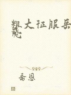 粗大征服岳女双飞