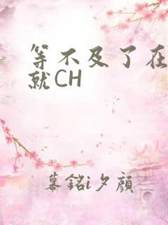 等不及了在车里就CH