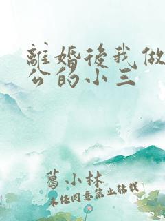 离婚后我做了老公的小三