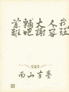 首辅大人我们和离吧谢容珏