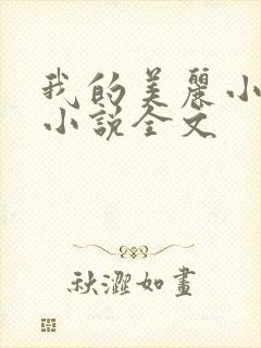 我的美丽小后妈小说全文