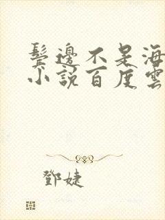 鬓边不是海棠红小说百度云