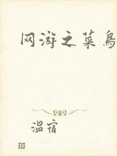 网游之菜鸟江湖