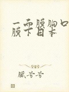 一面膜胸口一面膜下日本