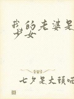 我的老婆是魔法少女