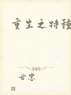 重生之特种军嫂