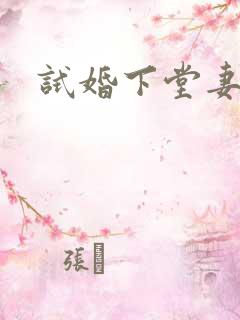 试婚下堂妻