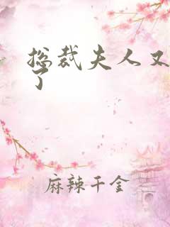 总裁夫人又征婚了