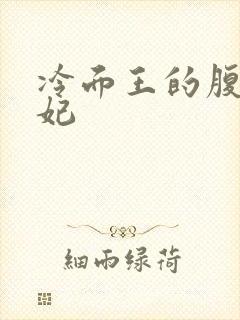 冷面王的腹黑王妃