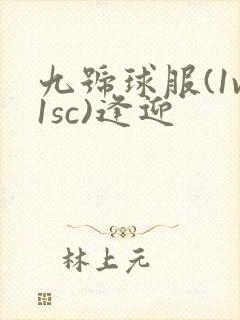 九号球服(1v1sc)逢迎