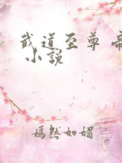 武道至尊 帝临 小说