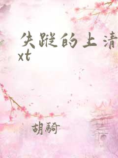 失踪的上清寺txt