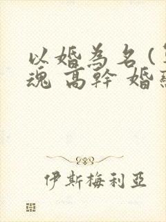 以婚为名 (军魂 高干 婚恋)