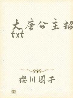 大唐公主招亲记txt