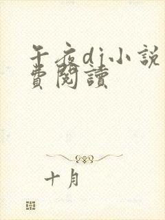 午夜dj小说免费阅读