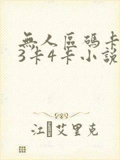 无人区码卡二卡3卡4卡小说