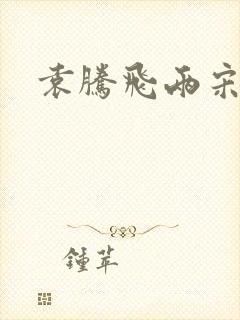 袁腾飞两宋风云