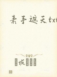 素手遮天txt