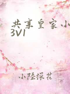 共享皇家小公主3V1