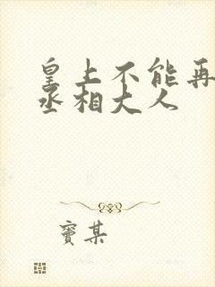 皇上不能再进了丞相大人