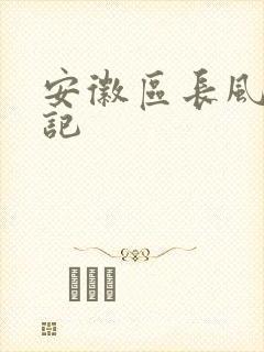 安徽区长风流日记