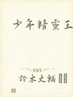少年精灵王