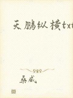 天鹏纵横txt