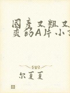 国产又粗又黄又爽的A片小说