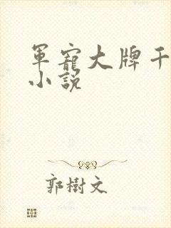 军宠大牌千金 小说
