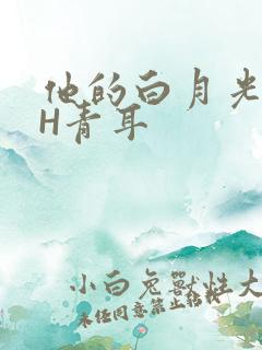 他的白月光HVH青耳
