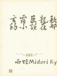 玄霜巨龙敖无极的小说在哪里看