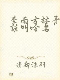 李南方林青青小说叫啥名