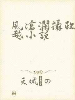 风沧澜摄政王穿越小说