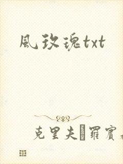风玫瑰txt