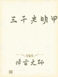 三千光明甲