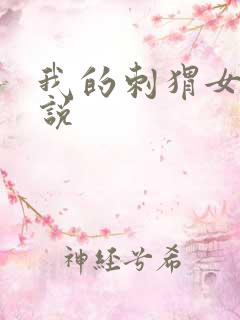 我的刺猬女孩小说