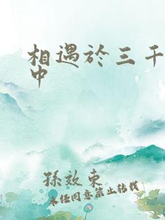相遇于三千肉文中
