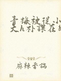 青梅被从小c到大h补课在线观看