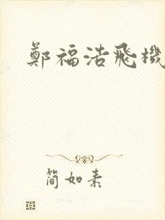 郑福浩飞机坠海