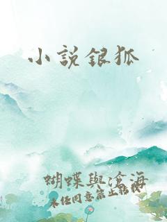 小说银狐