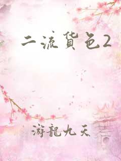 二流货色2